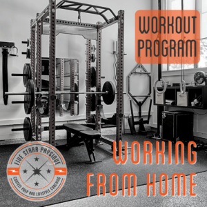 Bodybuilding Workout Program - Working From Home